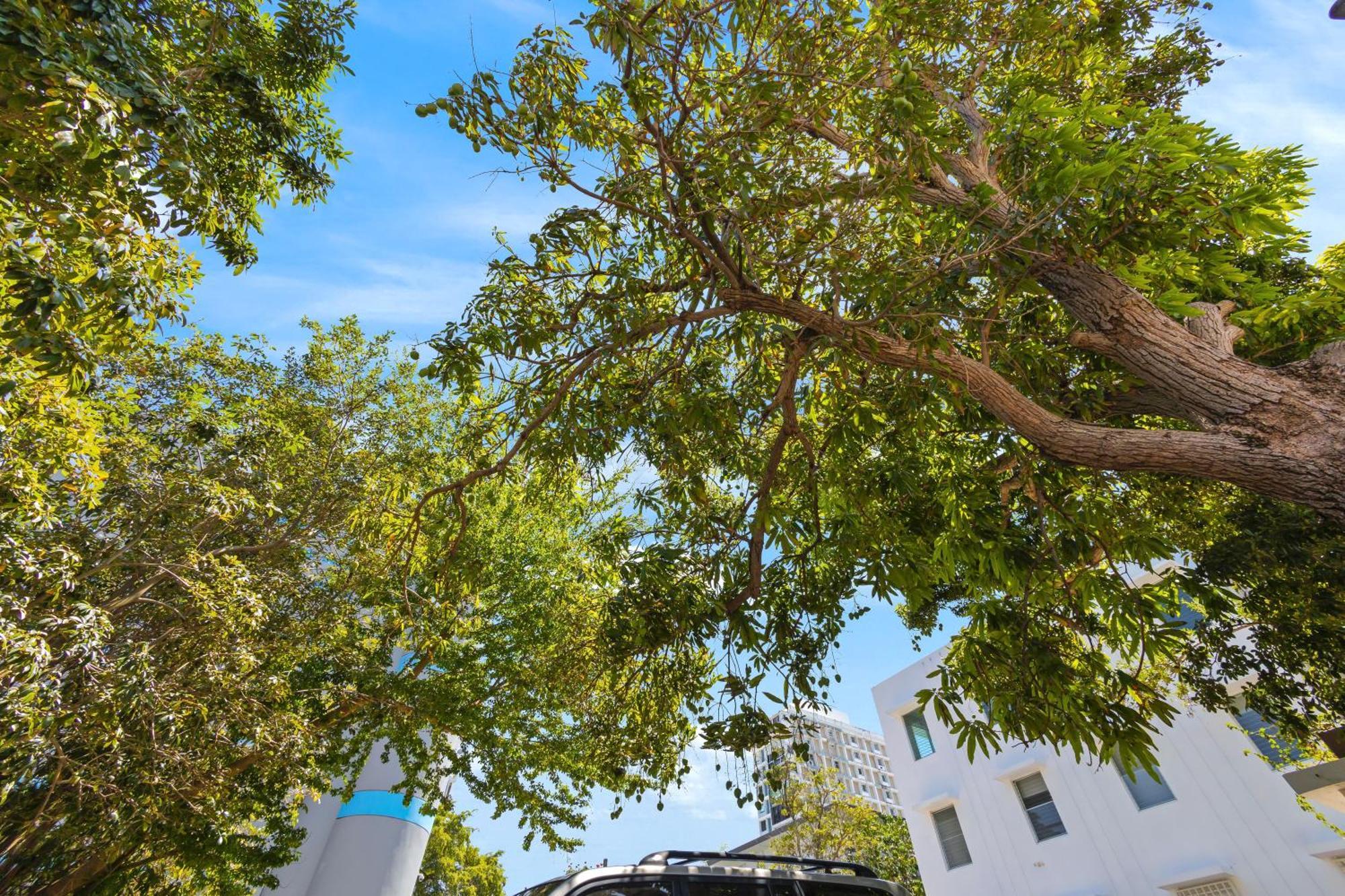 Apartamento Hidden Gem In Miramar- Power Generator- Parking San Juan Exterior foto