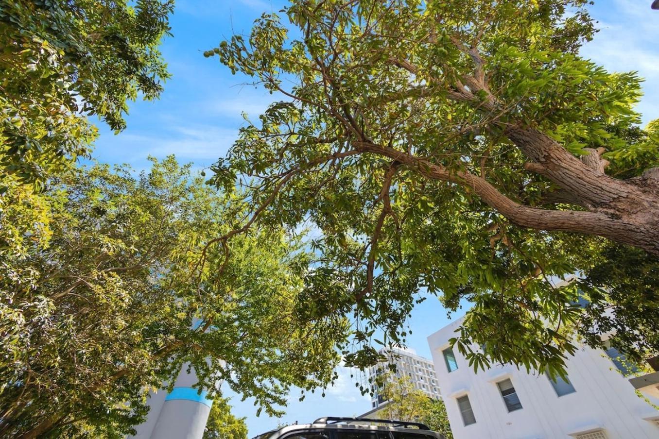 Apartamento Hidden Gem In Miramar- Power Generator- Parking San Juan Exterior foto
