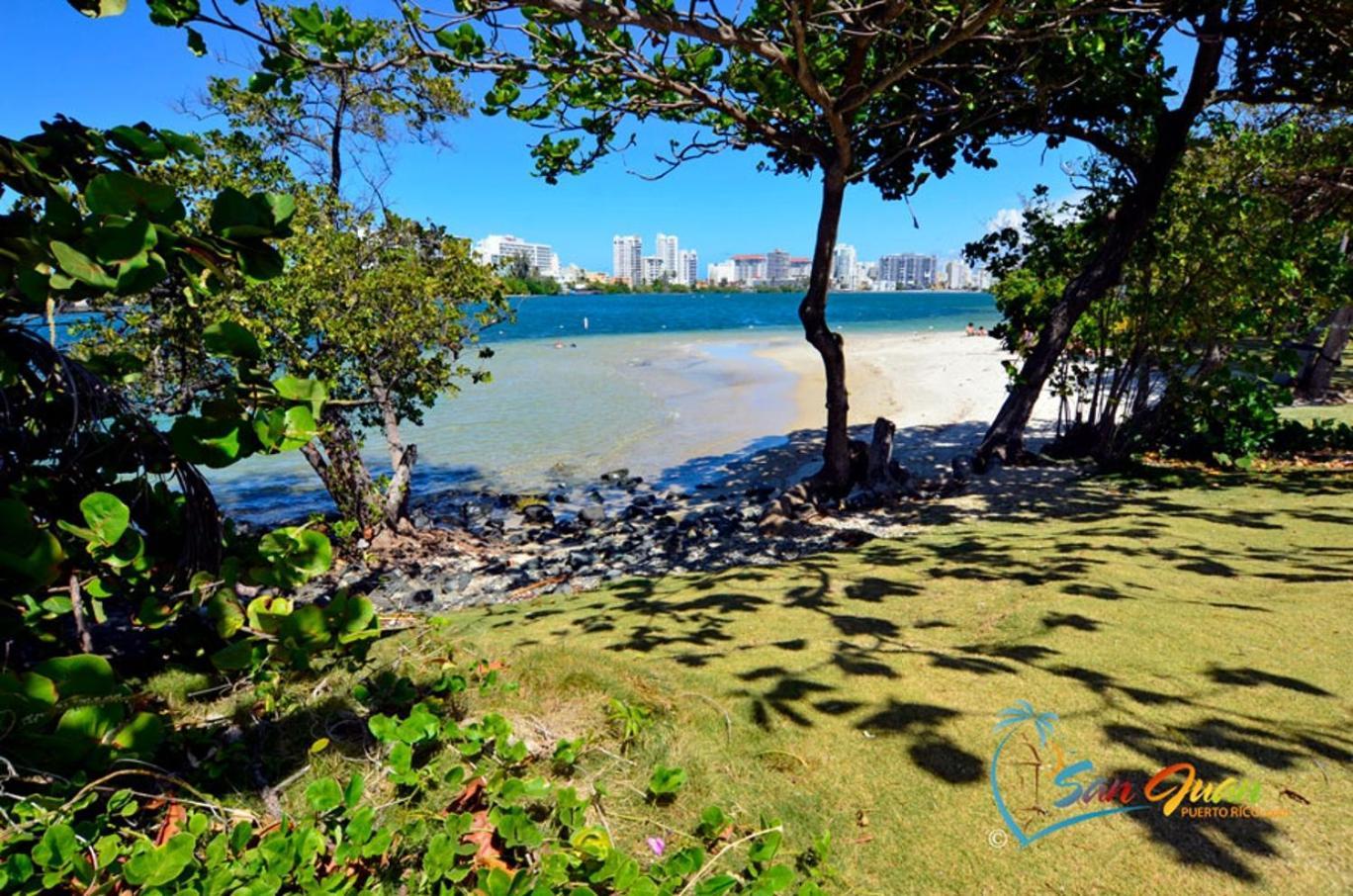 Apartamento Hidden Gem In Miramar- Power Generator- Parking San Juan Exterior foto