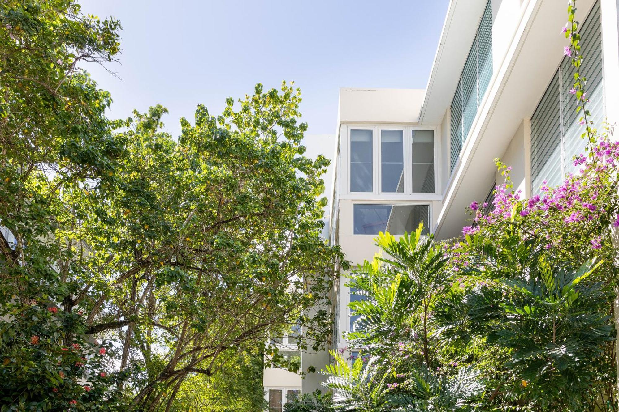 Apartamento Hidden Gem In Miramar- Power Generator- Parking San Juan Exterior foto